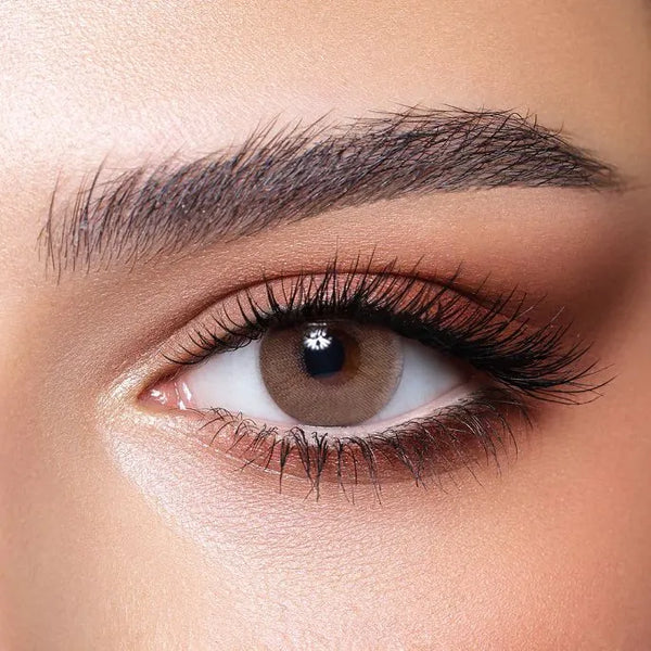 Bella Elite Wild Honey Lenses